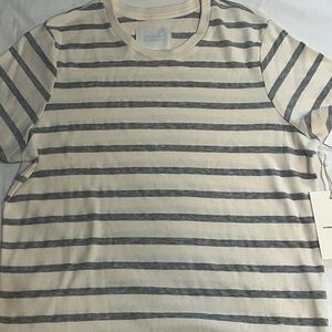 Citizens Of Humanity Beige and Gray Striped Tee